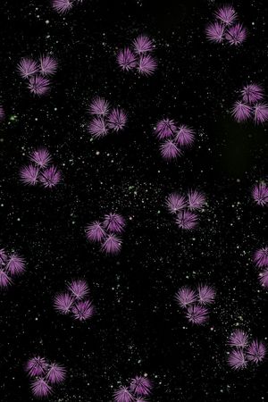 时尚 潮流印花华亿平台图片