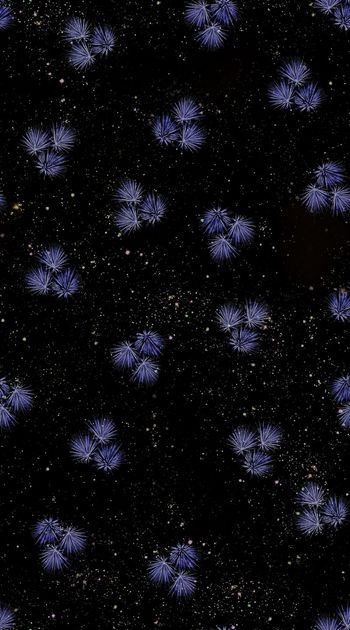 567365-时尚 潮流  植物 叶子 组合 星