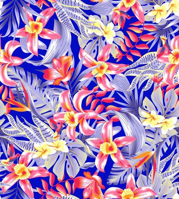 567387-熱帶花草20160105 