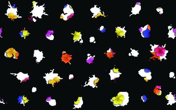 韩版印花华亿平台图片