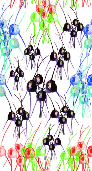 567485-AYE-[猴年乐趣 图]