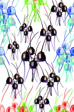 德古拉兰花印花华亿平台图片