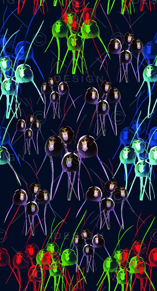 德古拉兰花印花华亿平台图片