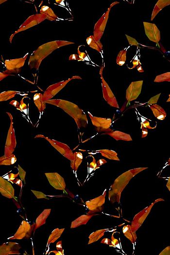 567514-时尚潮流大牌树叶男装图案