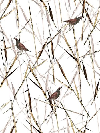 567541-时尚潮流大牌芦苇草小鸟男装图案