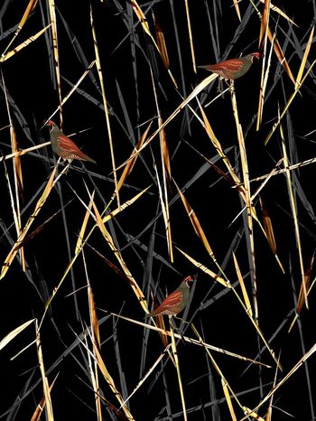 567542-时尚潮流大牌芦苇草小鸟男装图案