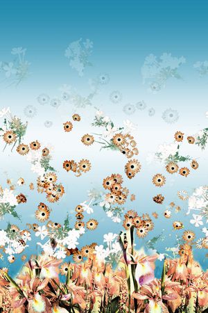 时尚印花华亿平台图片