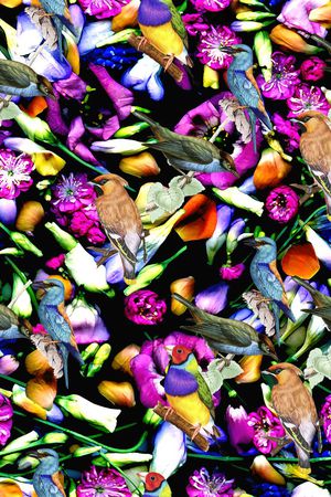 秋冬印花华亿平台图片