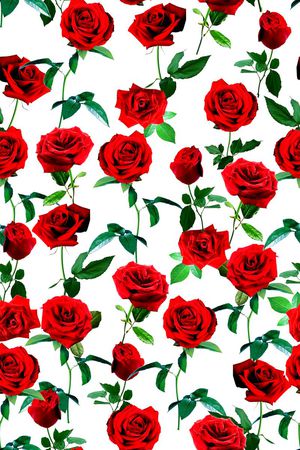 时尚印花华亿平台图片