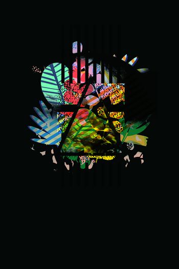 567690-T恤卫衣印花 几何植物花卉组合