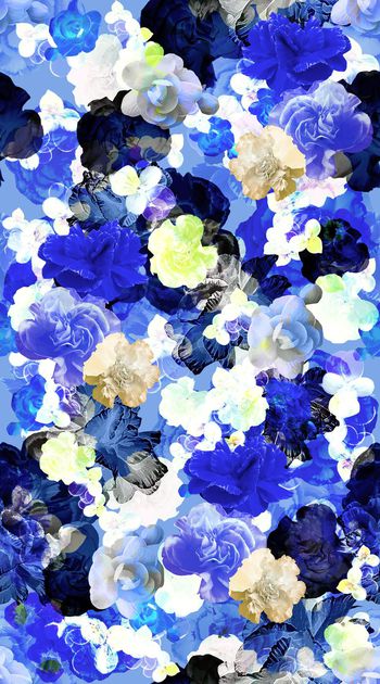 567831-抽象炫彩 花卉 花卉半透明效果 女