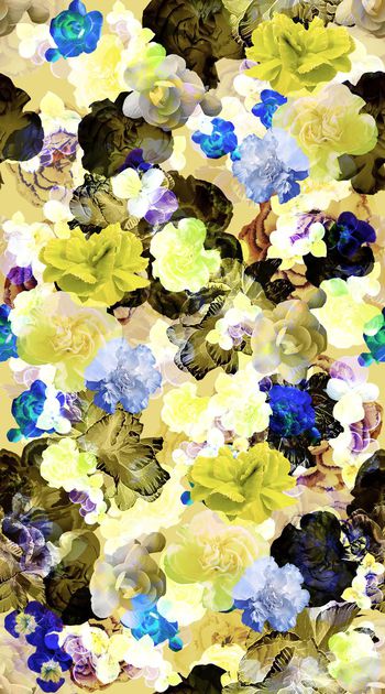 567832-抽象炫彩 花卉 花卉半透明效果 女