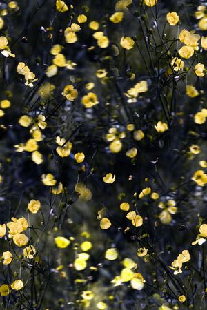 满版 印花 服装印花华亿平台图片