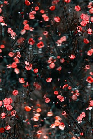 时尚 潮流印花华亿平台图片