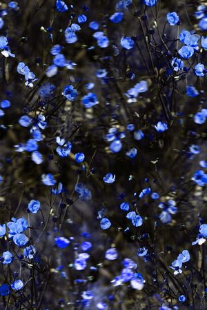 时尚 潮流印花华亿平台图片