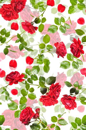 玫瑰印花华亿平台图片