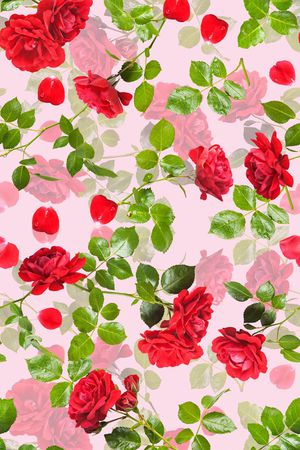 玫瑰印花华亿平台图片