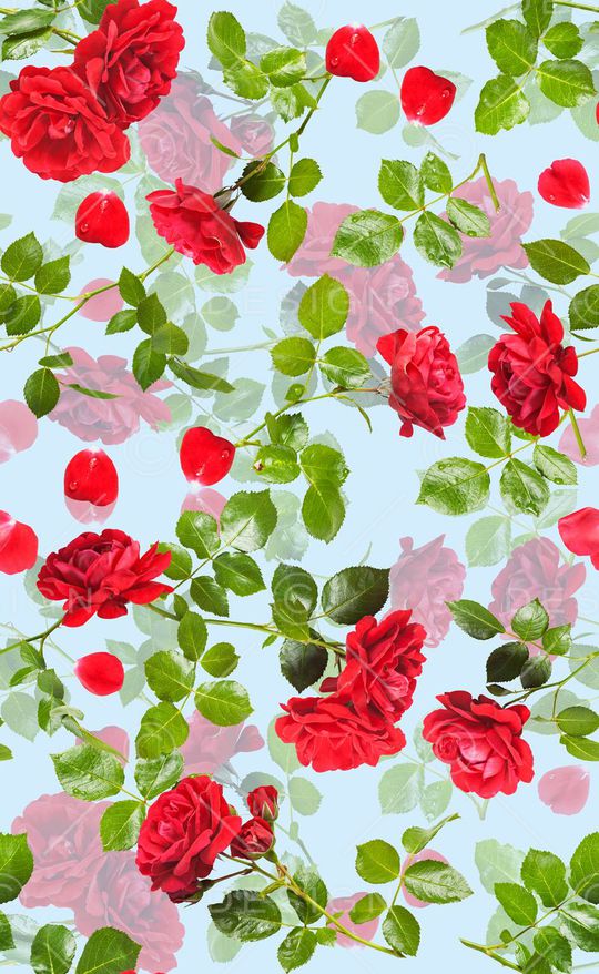 玫瑰印花华亿平台图片