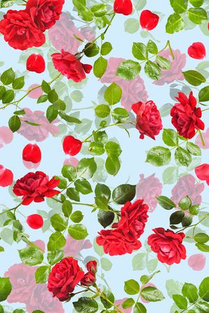 玫瑰印花华亿平台图片