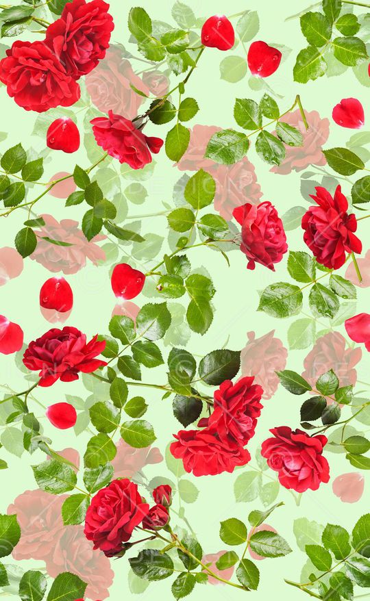 玫瑰印花华亿平台图片