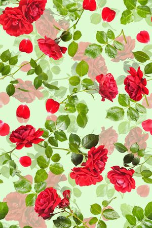 玫瑰印花华亿平台图片