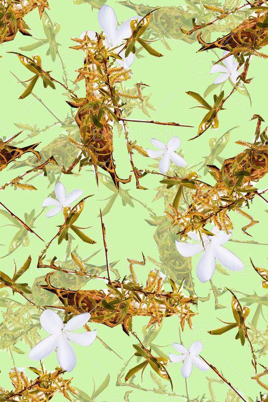 时尚潮流印花华亿平台图片