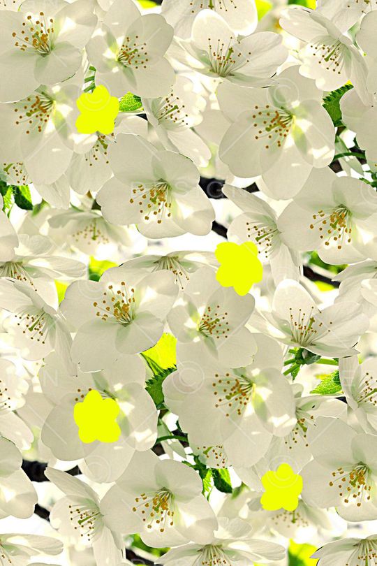 时尚潮流印花华亿平台图片