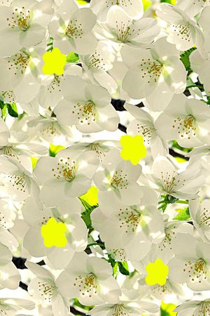 时尚潮流印花华亿平台图片