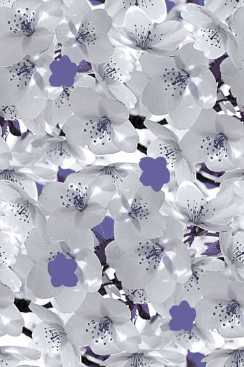 568117-时尚潮流大牌樱花女装图案