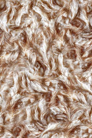 羽毛印花华亿平台图片