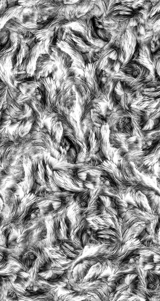 羽毛印花华亿平台图片