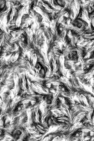 羽毛印花华亿平台图片