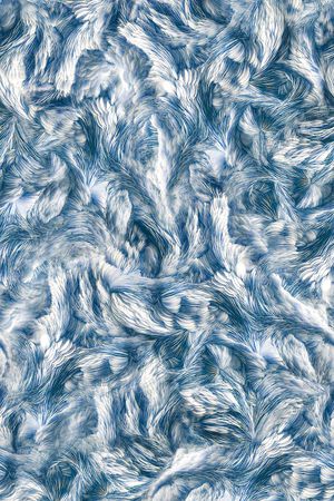 羽毛印花华亿平台图片