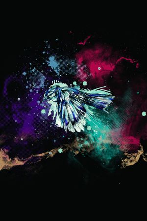 欧美印花华亿平台图片