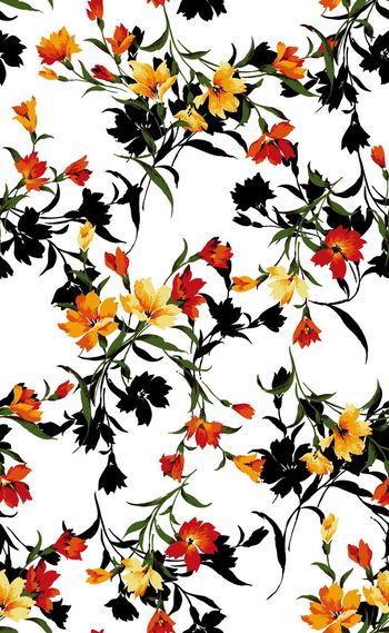 568263-欧美流行高清花卉