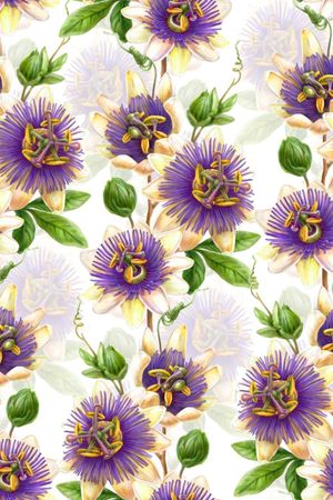 田园印花华亿平台图片