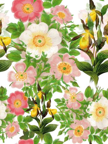 568613-幻彩可爱蕾丝手绘花卉  衬衫印花