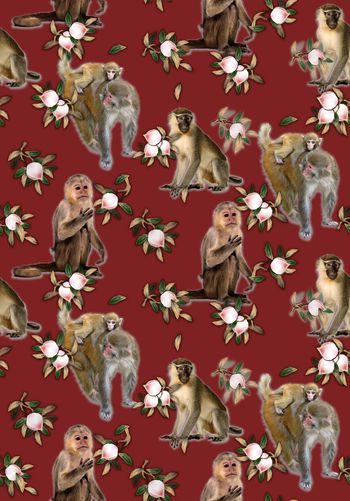 568619-猴年时尚 吉祥如意 长寿猴桃