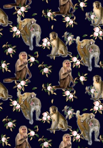 568620-猴年时尚 吉祥如意 长寿猴桃