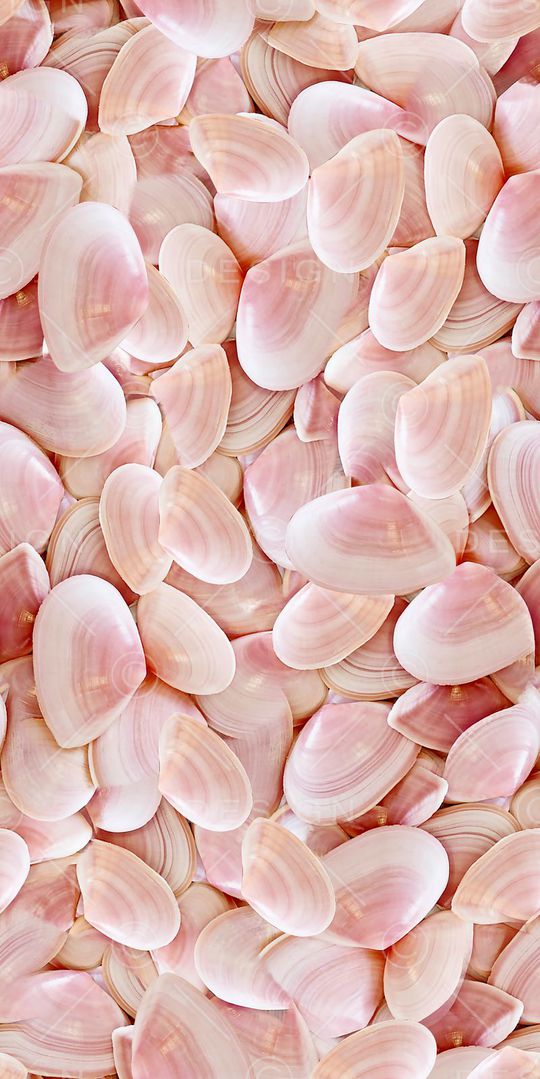 贝壳印花华亿平台图片