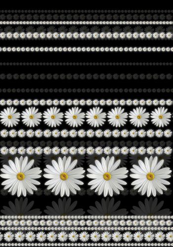 568907-优雅浪漫小雏菊花卉 黑底大牌定位印