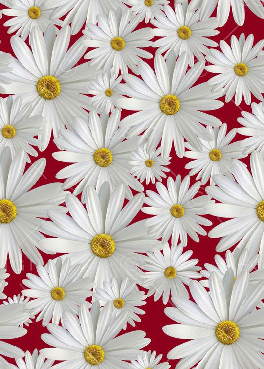 MAX-大牌风格印花华亿平台图片