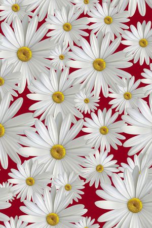 MAX-大牌风格印花华亿平台图片