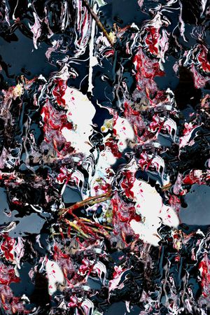 Cavalli印花华亿平台图片