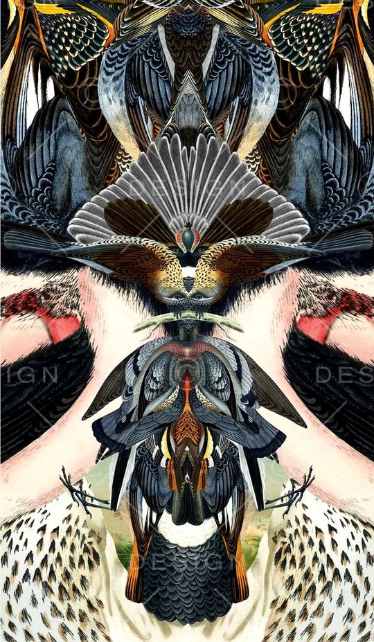 翅膀印花华亿平台图片