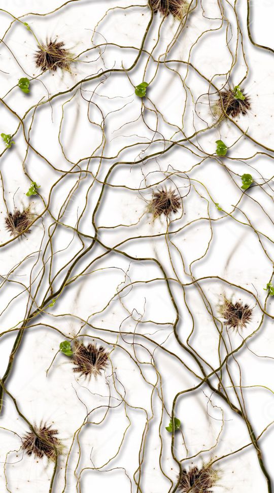 不规则印花华亿平台图片