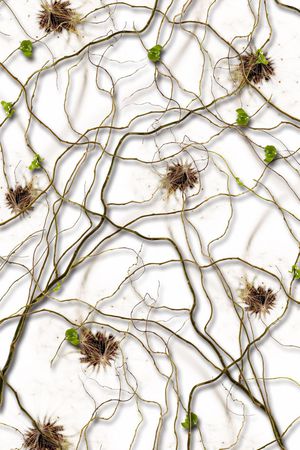 不规则印花华亿平台图片