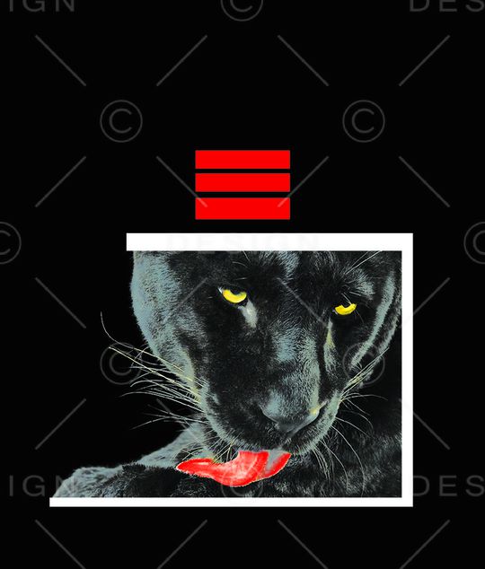 潮流印花华亿平台图片