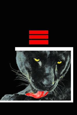 潮流印花华亿平台图片