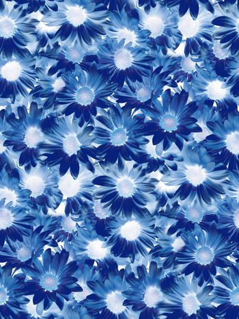 569407-时尚潮流 暗影花卉 服装 家纺 花